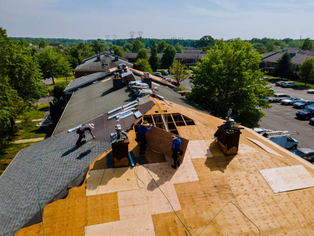 24/7 Emergency Roof Replacement experts in Folsom, LA